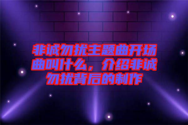 非誠勿擾主題曲開場曲叫什么，介紹非誠勿擾背后的制作