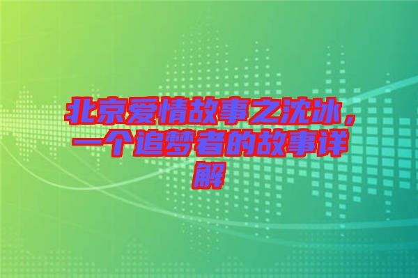 北京愛情故事之沈冰，一個追夢者的故事詳解