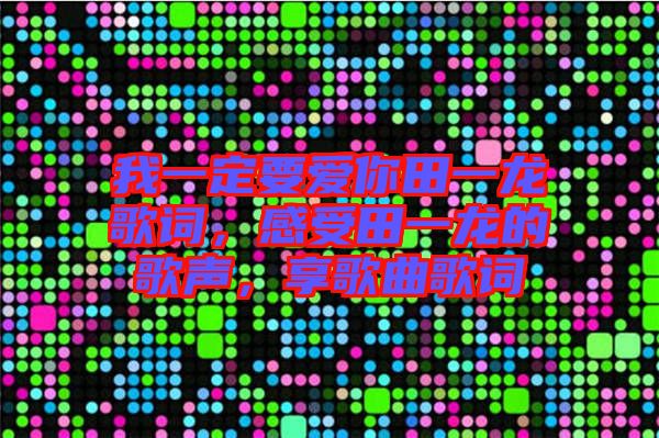 我一定要愛你田一龍歌詞，感受田一龍的歌聲，享歌曲歌詞