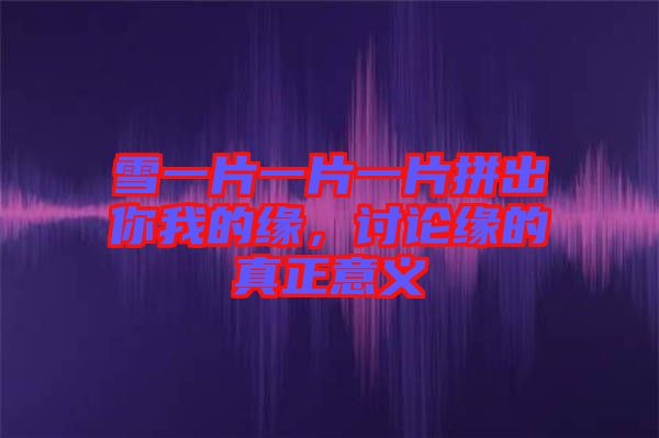 雪一片一片一片拼出你我的緣，討論緣的真正意義