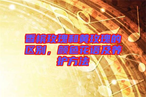 香檳玫瑰和黃玫瑰的區(qū)別，顏色花語及養(yǎng)護(hù)方法