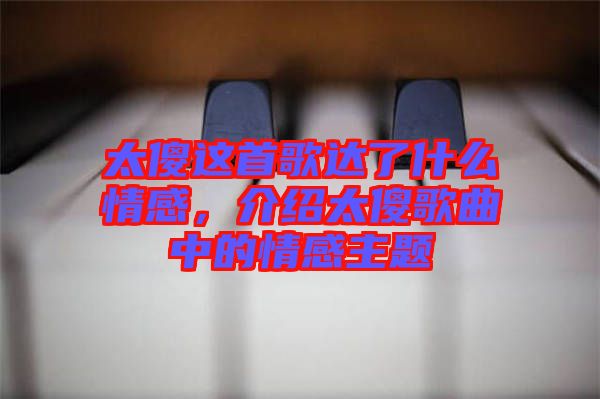 太傻這首歌達(dá)了什么情感，介紹太傻歌曲中的情感主題