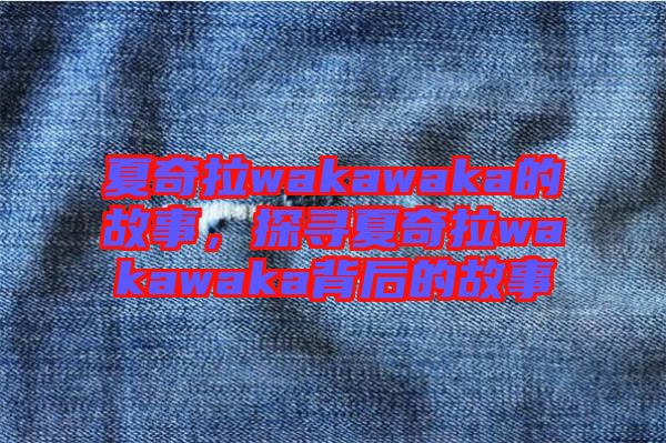 夏奇拉wakawaka的故事，探尋夏奇拉wakawaka背后的故事