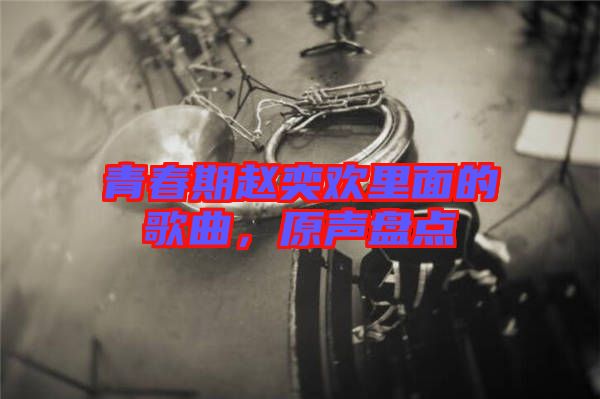 青春期趙奕歡里面的歌曲，原聲盤(pán)點(diǎn)