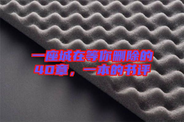 一座城在等你刪除的40章，一本的書評(píng)