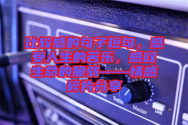 比較感的句子短句，感受人生的苦樂，感嘆生命的脆弱——情感碎片分享