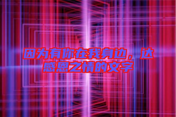 因為有你在我身邊，達(dá)感恩之情的文字
