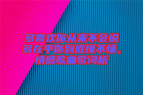多喜歡你從來不會說多在乎你到底懂不懂，情感歌曲歌詞析
