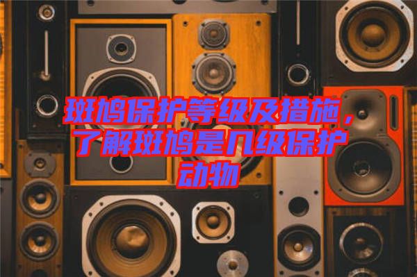 斑鳩保護(hù)等級及措施，了解斑鳩是幾級保護(hù)動物