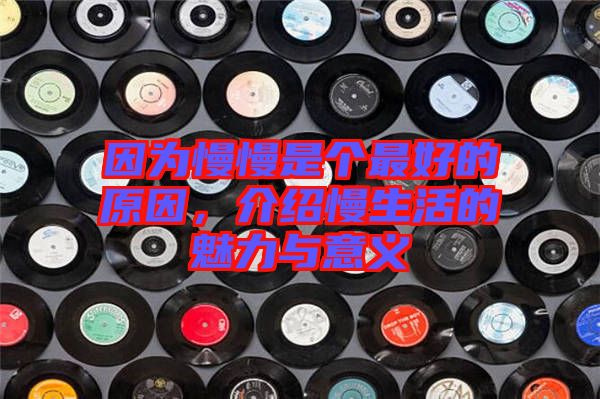 因?yàn)槁莻€(gè)最好的原因，介紹慢生活的魅力與意義