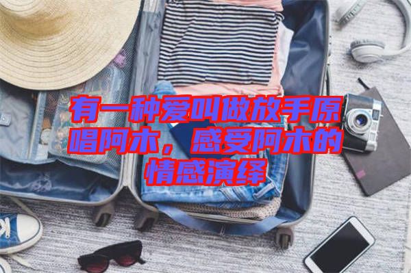 有一種愛叫做放手原唱阿木，感受阿木的情感演繹