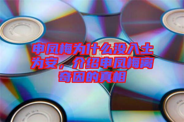 申鳳梅為什么沒入土為安，介紹申鳳梅離奇因的真相