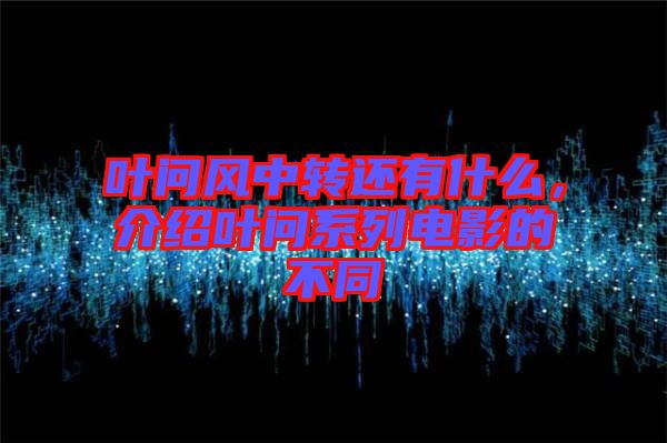 葉問風(fēng)中轉(zhuǎn)還有什么，介紹葉問系列電影的不同