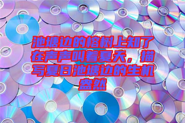池塘邊的榕樹上知了在聲聲叫著夏天，描寫夏日池塘邊的生機(jī)盎然