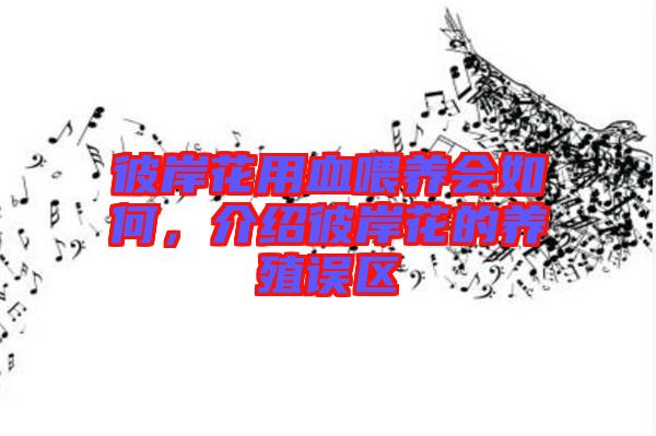 彼岸花用血喂養(yǎng)會如何，介紹彼岸花的養(yǎng)殖誤區(qū)