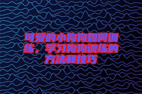 可愛的小狗狗如何訓(xùn)練，學(xué)習(xí)狗狗訓(xùn)練的方法和技巧