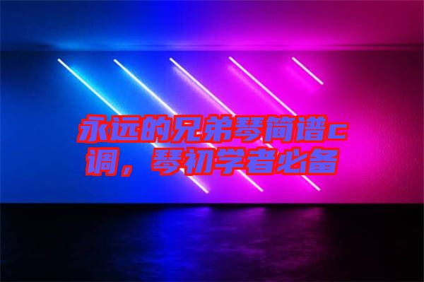 永遠(yuǎn)的兄弟琴簡譜c調(diào)，琴初學(xué)者必備
