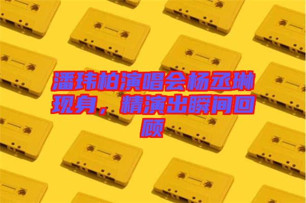 潘瑋柏演唱會楊丞琳現(xiàn)身，精演出瞬間回顧