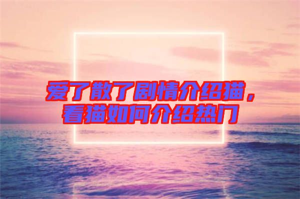 愛(ài)了散了劇情介紹貓，看貓如何介紹熱門