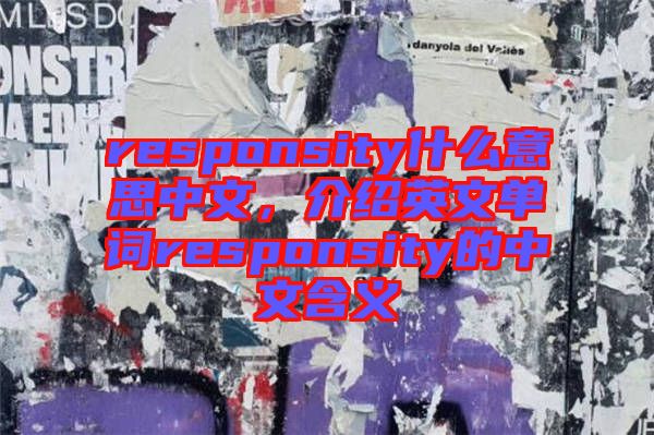responsity什么意思中文，介紹英文單詞responsity的中文含義