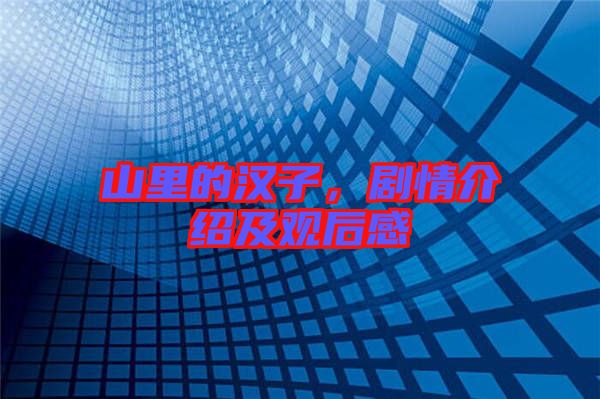 山里的漢子，劇情介紹及觀后感