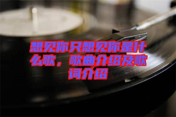 想見你只想見你是什么歌，歌曲介紹及歌詞介紹