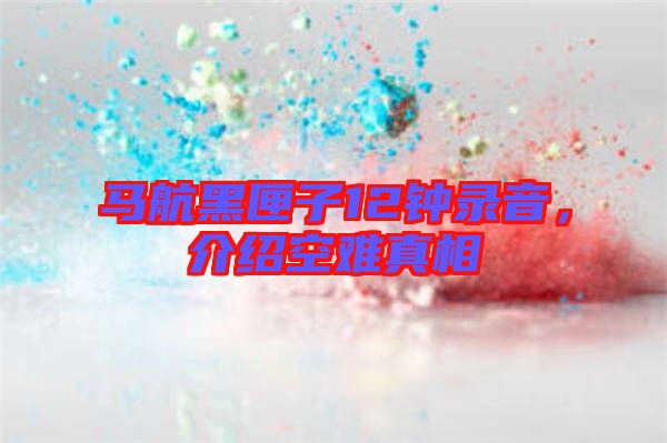 馬航黑匣子12鐘錄音，介紹空難真相