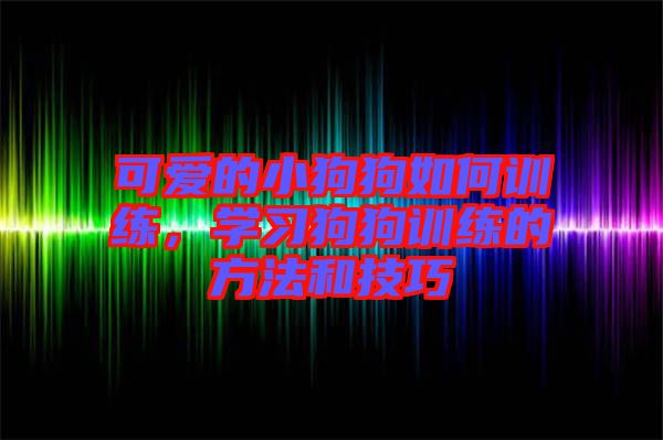 可愛的小狗狗如何訓練，學習狗狗訓練的方法和技巧