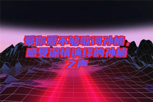 愛(ài)你愛(ài)不夠歌詞孫楠，感受深情演繹的孫楠之聲