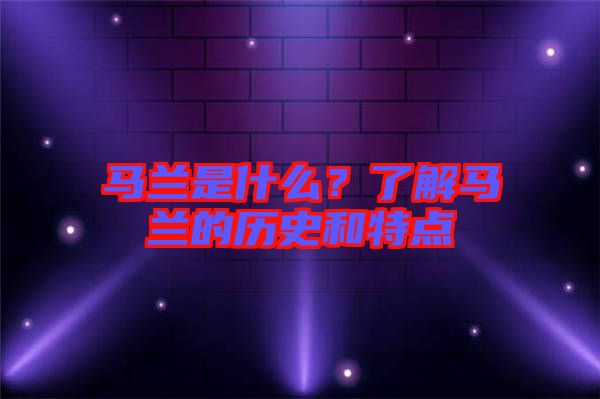 馬蘭是什么？了解馬蘭的歷史和特點(diǎn)