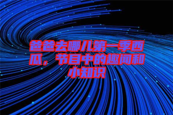 爸爸去哪兒第一季西瓜，節(jié)目中的趣聞和小知識(shí)