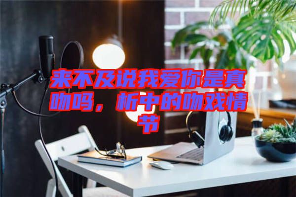 來不及說我愛你是真吻嗎，析中的吻戲情節(jié)
