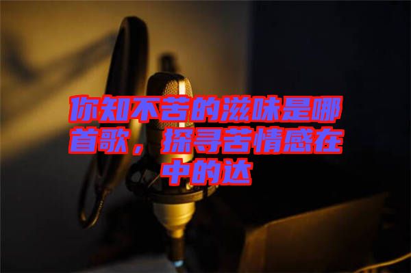 你知不苦的滋味是哪首歌，探尋苦情感在中的達(dá)