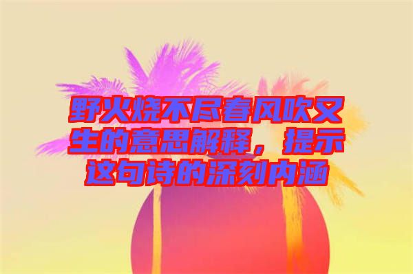 野火燒不盡春風吹又生的意思解釋，提示這句詩的深刻內(nèi)涵