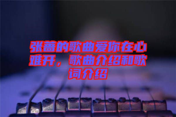 張薔的歌曲愛你在心難開，歌曲介紹和歌詞介紹