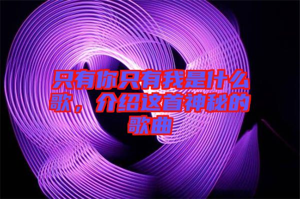 只有你只有我是什么歌，介紹這首神秘的歌曲