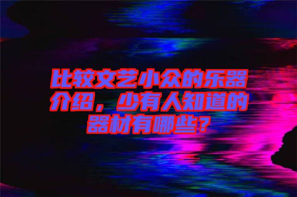 比較文藝小眾的樂(lè)器介紹，少有人知道的器材有哪些？