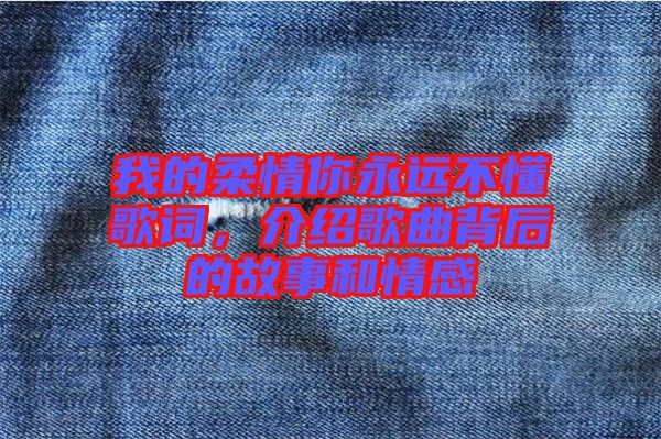 我的柔情你永遠(yuǎn)不懂歌詞，介紹歌曲背后的故事和情感