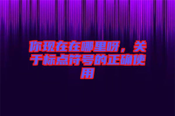 你現(xiàn)在在哪里呀，關(guān)于標(biāo)點(diǎn)符號(hào)的正確使用