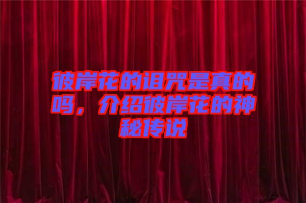 彼岸花的詛咒是真的嗎，介紹彼岸花的神秘傳說