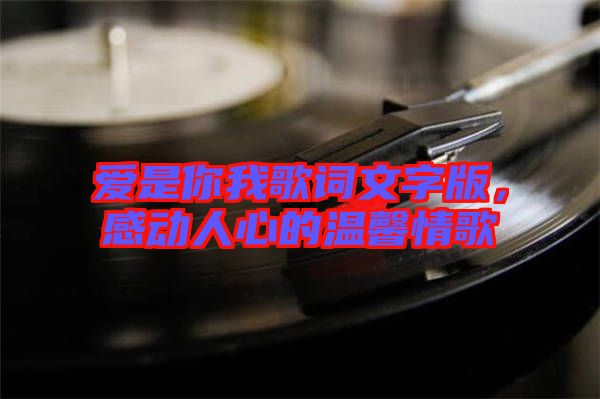 愛(ài)是你我歌詞文字版，感動(dòng)人心的溫馨情歌