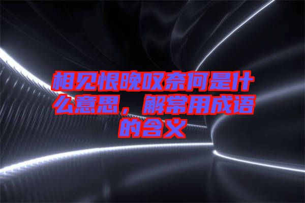 相見恨晚嘆奈何是什么意思，解常用成語的含義
