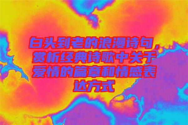 白頭到老的浪漫詩(shī)句，賞析經(jīng)典詩(shī)歌中關(guān)于愛情的篇章和情感表達(dá)方式