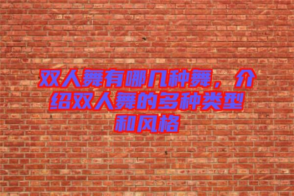 雙人舞有哪幾種舞，介紹雙人舞的多種類型和風格