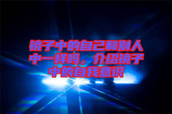鏡子中的自己和別人中一樣嗎，介紹鏡子中的自我意識