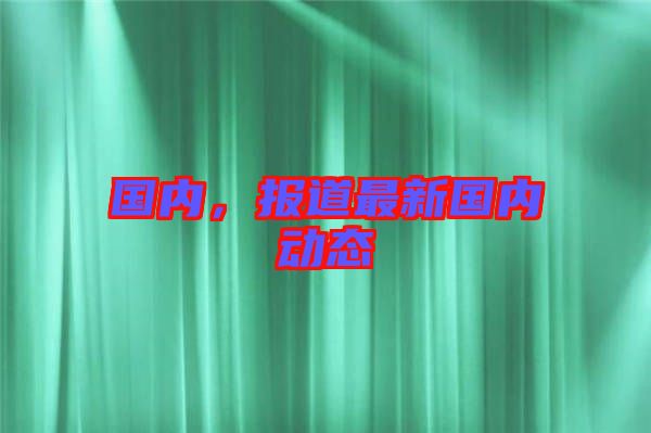 國內(nèi)，報道最新國內(nèi)動態(tài)