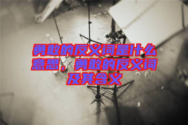 勇敢的反義詞是什么意思，勇敢的反義詞及其含義