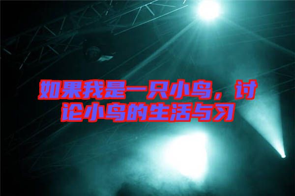 如果我是一只小鳥，討論小鳥的生活與習(xí)