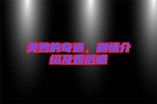 美妙的奇遇，劇情介紹及觀后感