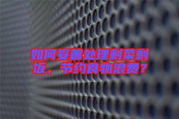 如何妥善處理剩菜剩飯，節(jié)約食物浪費？